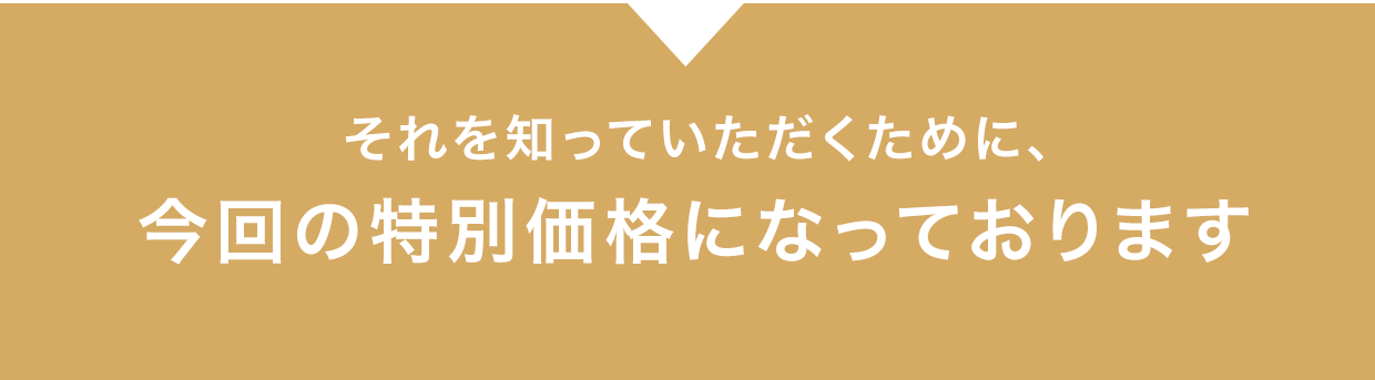 今回の特別価格になっております
