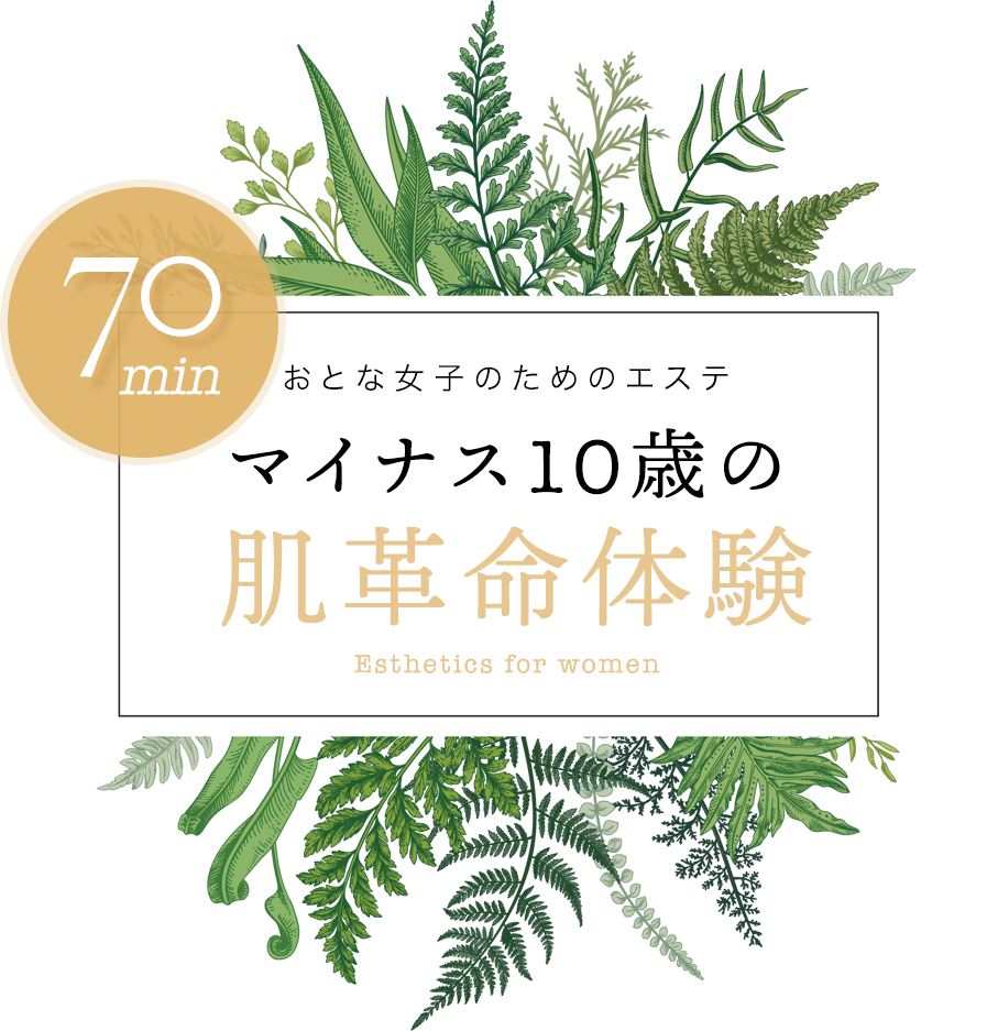 マイナス10歳の肌革命体験